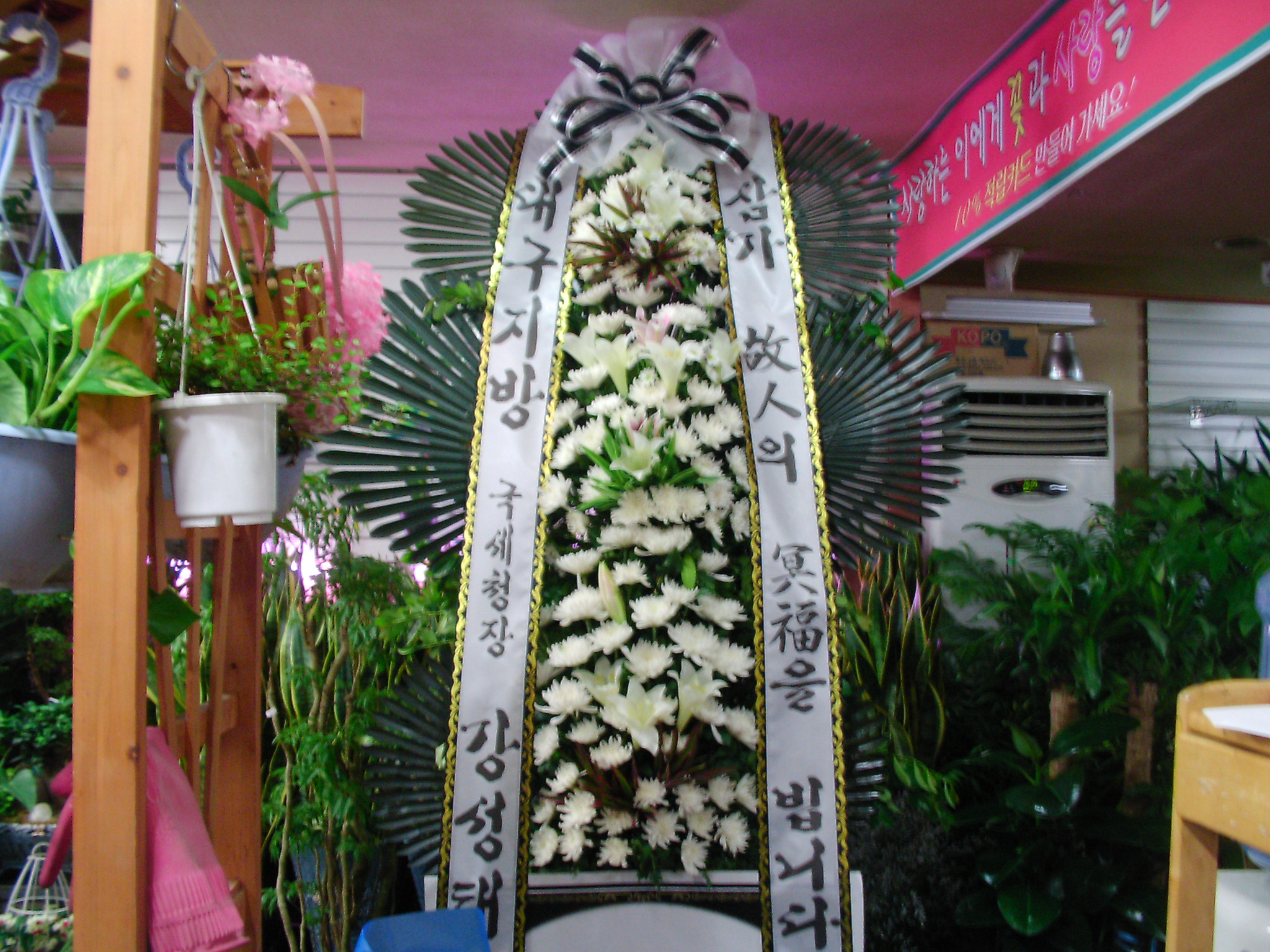 �뱸���� ����û���