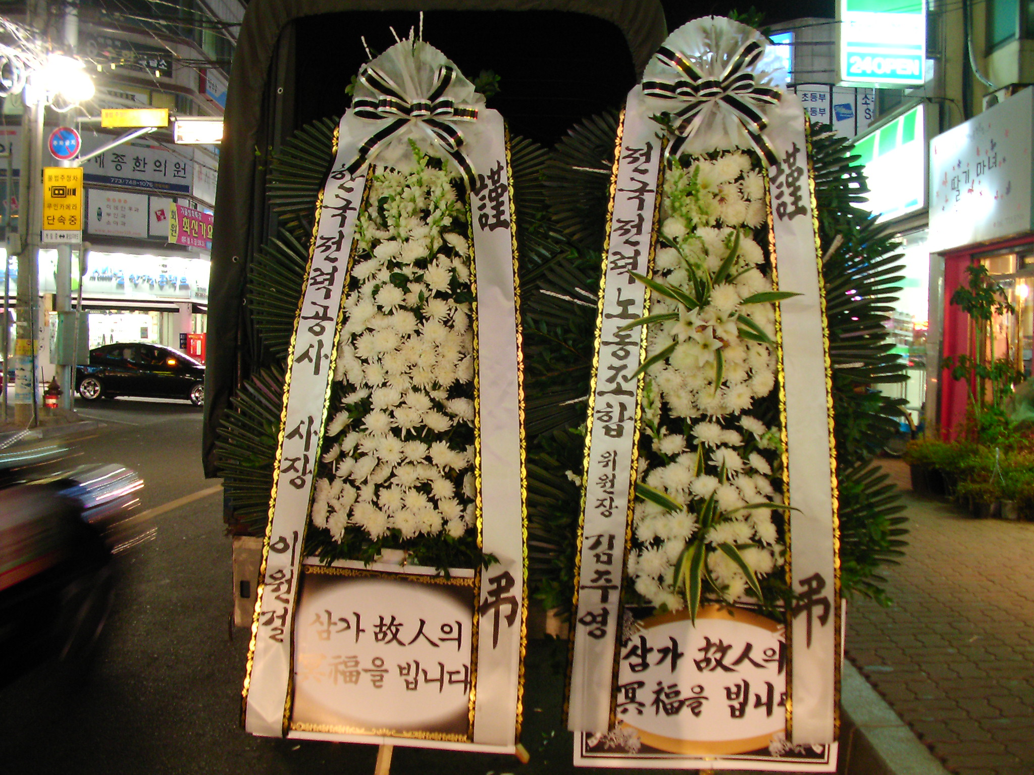 �����׳뵿���� �������