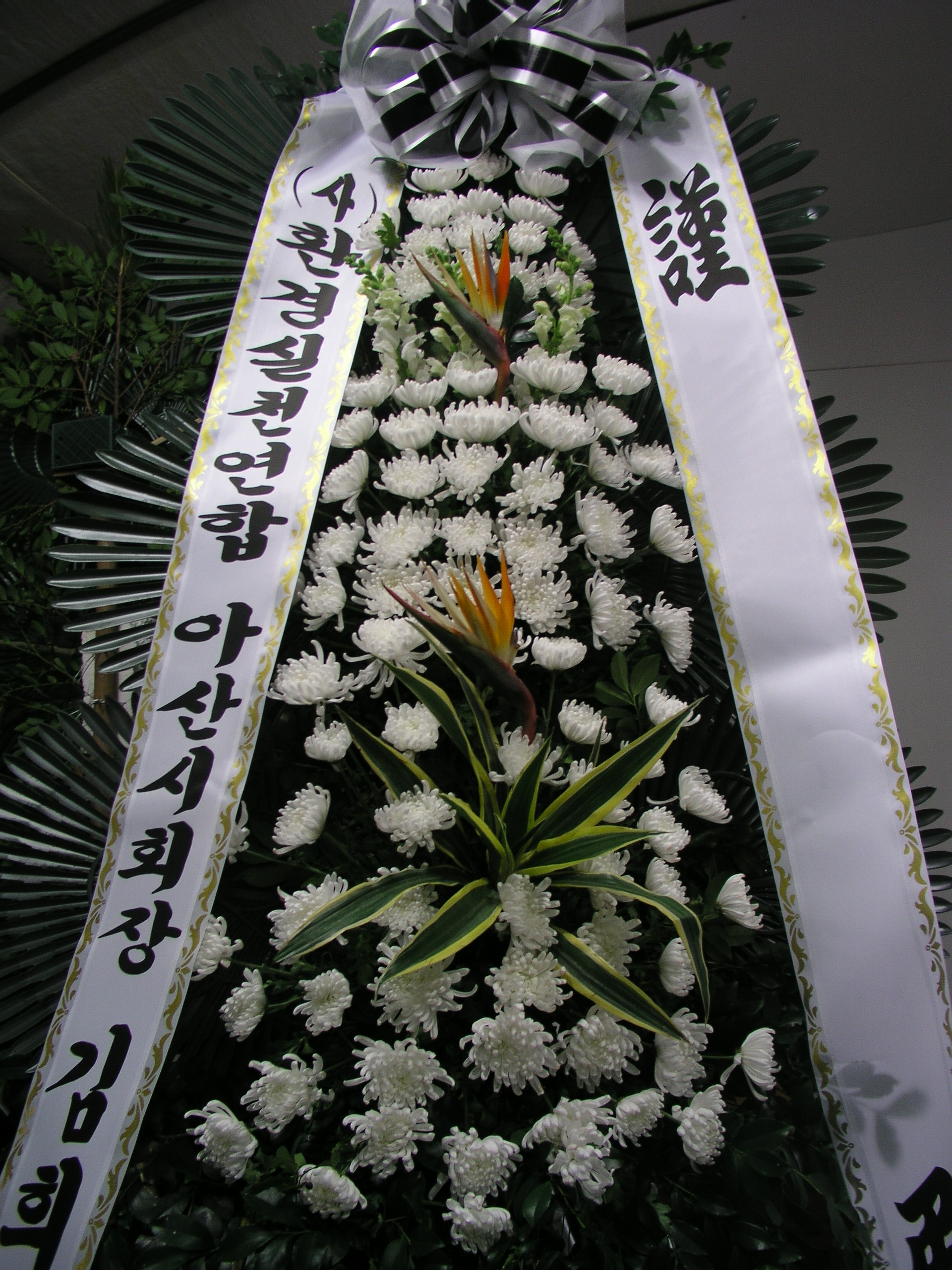 ��)ȯ���õ���� �ƻ��ȸ�� ���񿭴� �ֹ�����帳�ϴ�